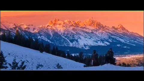 Django Unchained - I