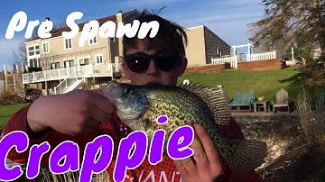 How to catch Pre-Spawn spring CRAPPIE