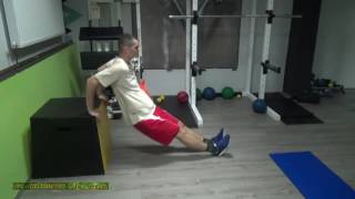 REVERSE PLANK TRICEPS DIPS - HQ Strength Drill!