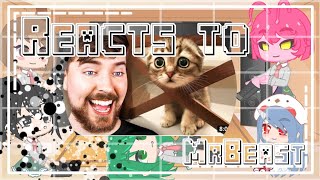 Mha Reacts To Mrbeast React Pt42Gachaclubbnhamha