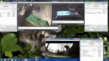 New Features for MPC-HC Looper
