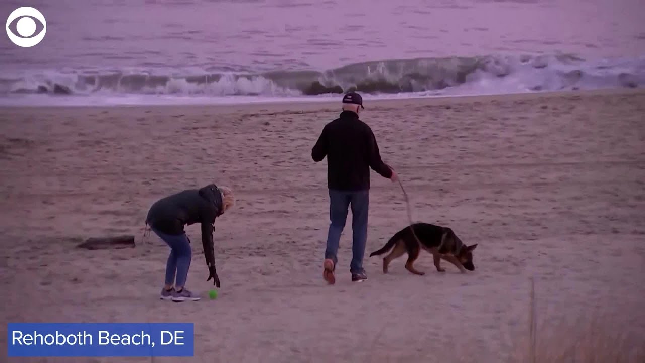 YouTube player