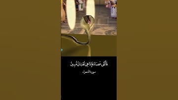 قال لئن اتخذت إلها غيري لأجعلنك من المسجونين اسلام صبحي _  سورة الشعراء _ حالات واتس اب قرآن قصيرة