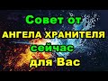 Совет от АНГЕЛА ХРАНИТЕЛЯ сейчас.