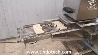 JINAN TINDO CE CERTIFICATED SKINLESS SAUSAGE FORMING MACHINE READY FOR DELIVERY TO BULGARIA