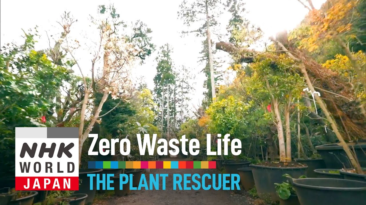 The Plant Rescuer - Zero Waste Life