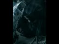 #corpse bride