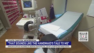 Democrats criticize vagueness of TN abortion trafficking bill, GOP say it's protecting parent rights