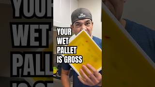 Your Wet Palette Is Gross | Clean it.