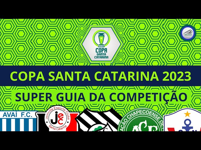 AO VIVO - Copa Santa Catarina - 29/10/2023 