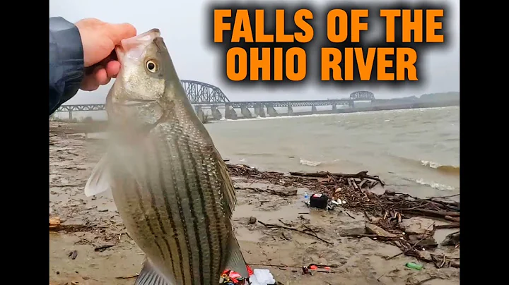 Falls Of The Ohio River Lived Up To The Hype!--FISH ON!!