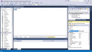 ASP.NET Label - how to set text (3 different ways) (C#)