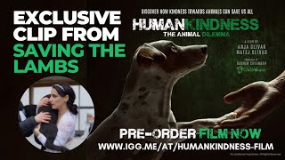Humankindness - The Animal Dilemma - Exclusive Clip - Saving The Lambs
