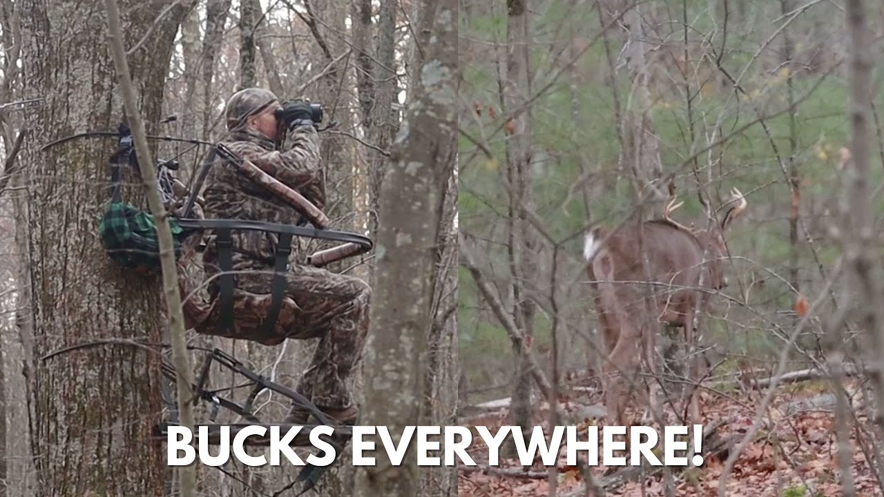 Bucks Everywhere First Week of November