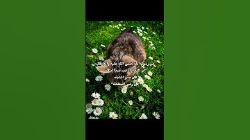 سورة النحل آية (127) #قرآن #عبدالباسط_عبدالصمد #اللهم_صل_على_محمد_وال_محمد