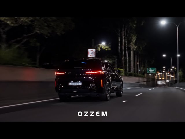 Ozzem - No Limit (Original Mix)