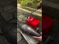 how to repair a muffler without welding #repairing #muffler #ninjass #dragrace #2stroke #tricks #yt