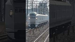 [高速通過]E259系しおさい号高速通過シーン #jr東日本 #e259系 #特急