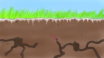 Compost Animation