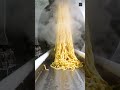 Inside a Modern Noodle Factory: Extracting Cassava Starch #factory