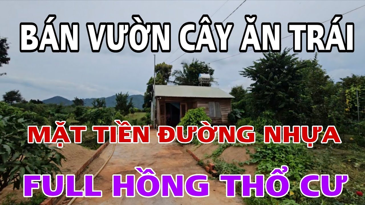Bán lô đất ngay khu vực dân cư trồng toàn bộ cây ăn trái full hồng thổ cư tại iako tỉnh gia lai 