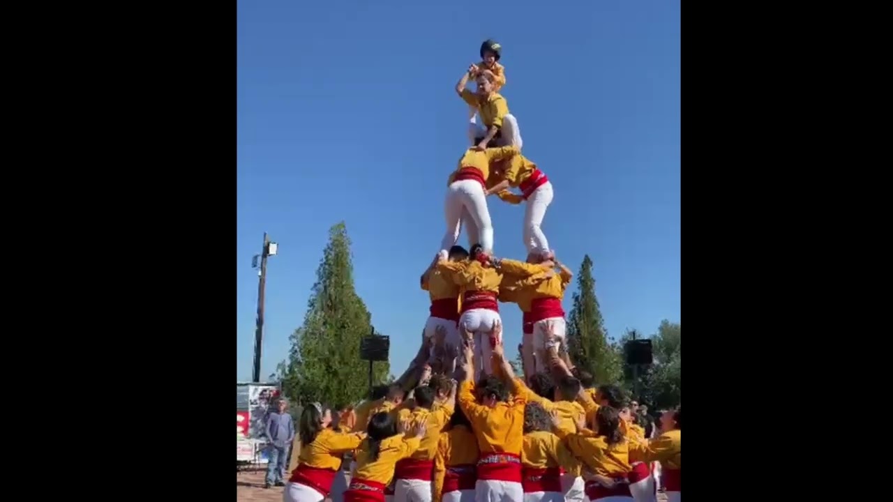 03. Alta de 5. Aplec de la Muntanyeta de Sant Antoni. 21.02.2026. Betxí