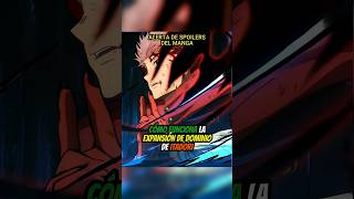 Cómo Funciona La EXPANSIÓN DE DOMINIO De ITADORI - Jujutsu Kaisen