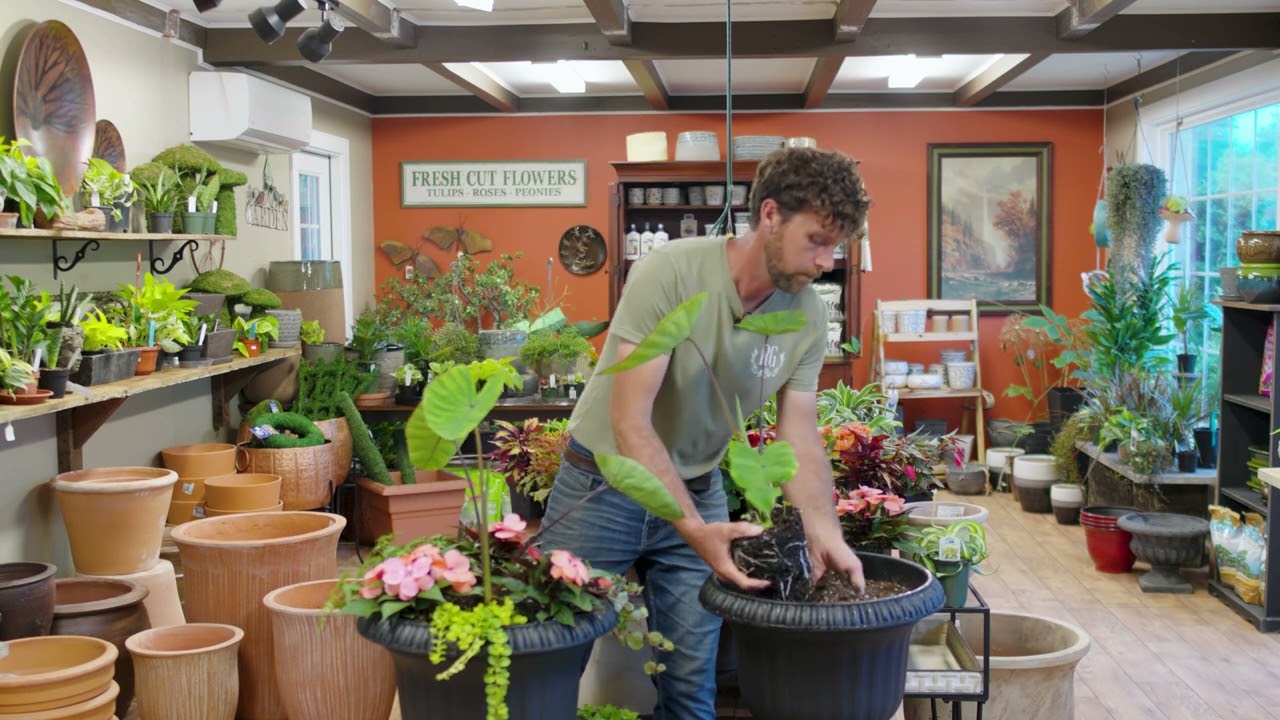 Container Planting Tutorial