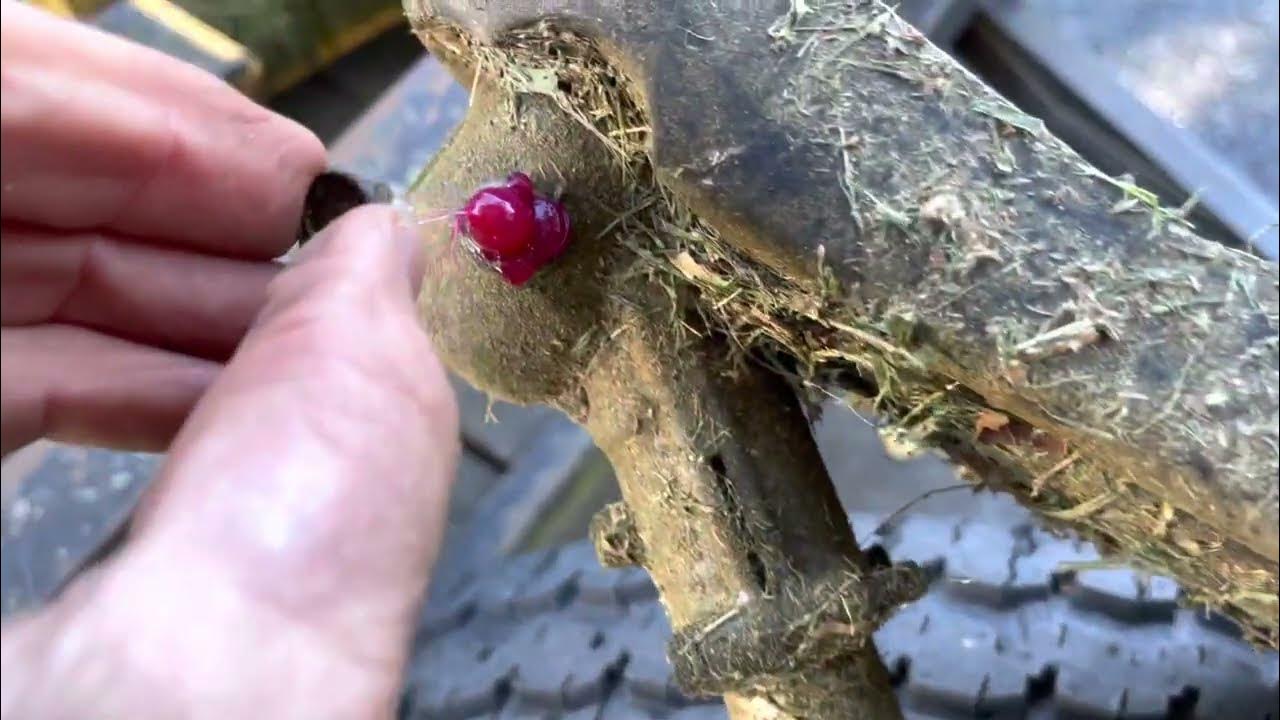 How To Grease A String Trimmer Head Gear Weed Whacker YouTube