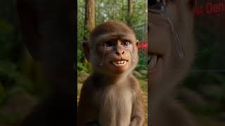 #monkeyai #ai #coding #claudeai #openai #entrepreneur #futureofwork #innovation #softwaredevelopment