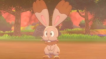 How to Catch BUNNELBY (Rolling Fields) - Pokemon Sword & Shield