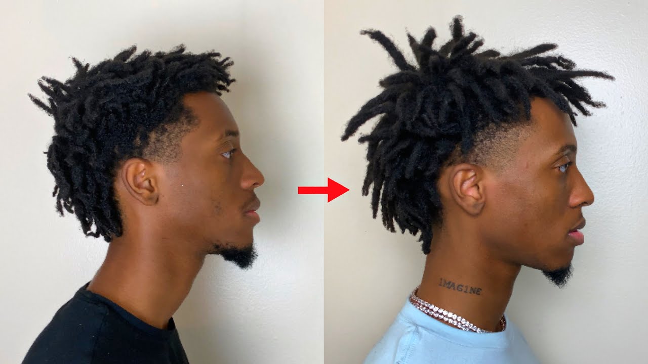 1 Year High Top Dread Growth Timelapse