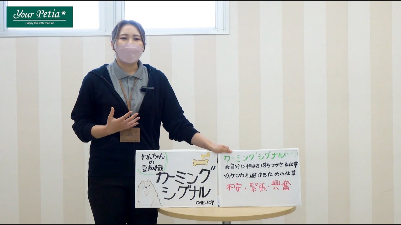 カーミングシグナル ワンちゃんの豆知識 - カーミングシグナル - YouTube