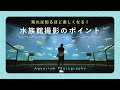 知れば知るほど楽しくなる!水族館撮影のポイント | あきさん