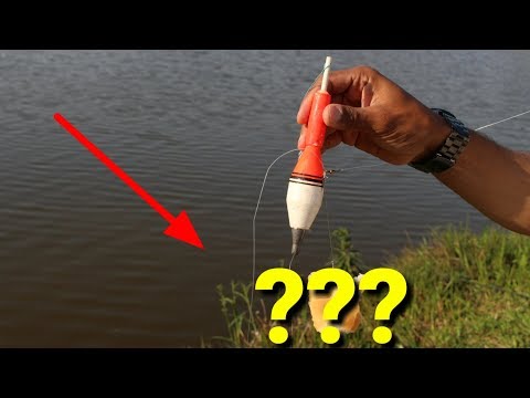 Vídeo: Como Equipar Uma Vara De Pesca De Inverno