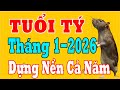 Tử Vi Tuổi Tý Tháng 1 Năm Bính Ngọ 2026: Khởi Động Đúng Nhịp, Dựng Nền C...