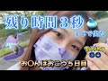 【5日目】ポケモンGO おさんぽおこう。残り3秒前で出た!!!!ガラルフリーザー 福岡