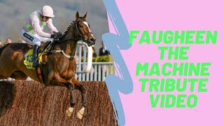 Faugheen The Machine Tribute. A Horse Of A Lifetime
