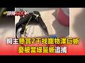 飼主懸賞2千「找寵物澤巨蜥」！憂被當綠鬣蜥追捕【頭條600秒】