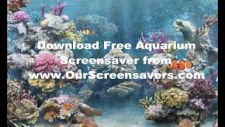 Free Amazing Aquarium Screensaver