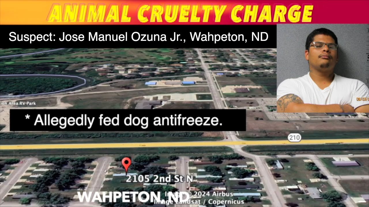 Man Charged With Animal Cruelty In Whapeton - YouTube