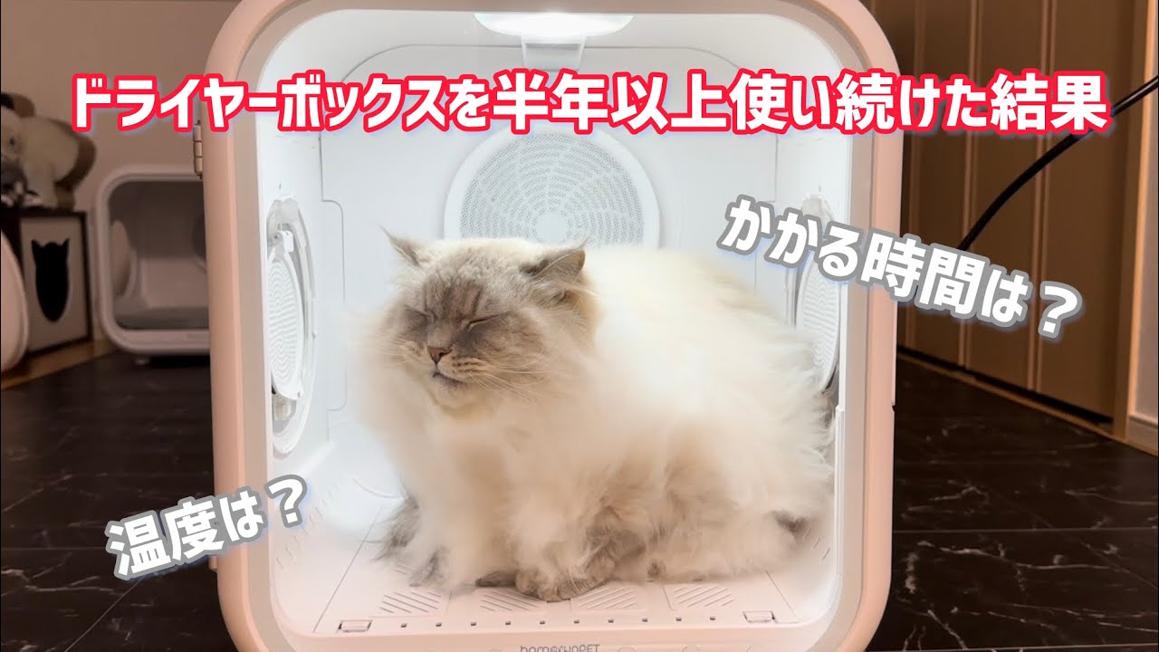 ドライヤーハウス半年使い続けた今の使い方