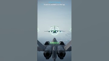 Meet the Ace Combat 7 players #2 #subscribe