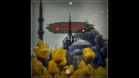 أجمل حالات واتس اب قرآن كريم بصوت يشرح الصدر مقاطع دينية قصيرة ستوريات انستا قرآن Quran Status360P