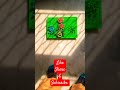 My creative #creator #minecraft #art #creativeblock #creativecreator