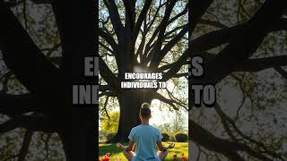 The Transformative Practice of Emotional Freedom Techniques (EFT) for Mental Wellness