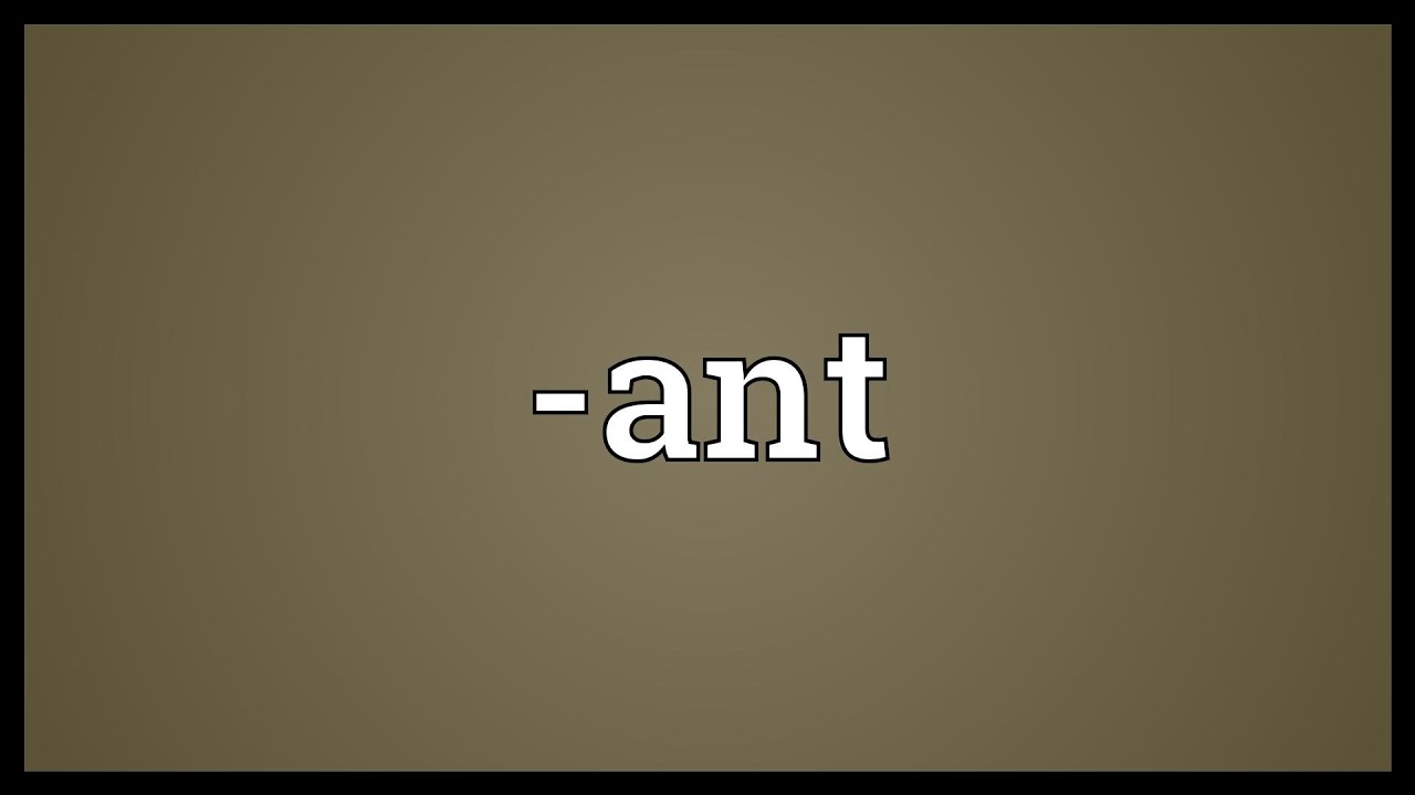 ant Meaning YouTube