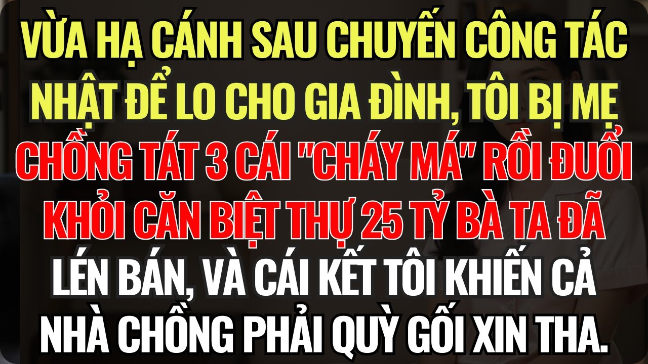 Vừa Hạ Cánh Sau Chuyến Công Tác Nhật Để Lo Cho Gia Đình, Tôi Bị Mẹ Chồng Tát 3 Cái Cháy Má Rồi Đuổi
