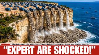 Florida Dumped Half a Million Tons of Oyster Shells Offshore — What Formed Next Shocked Scientists