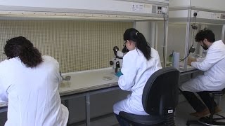 John Innes Centre awarded almost £78m to fund new research